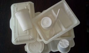 disposable plastic food container singapore