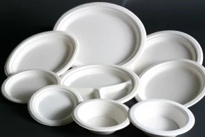 disposable plastic plates canada
